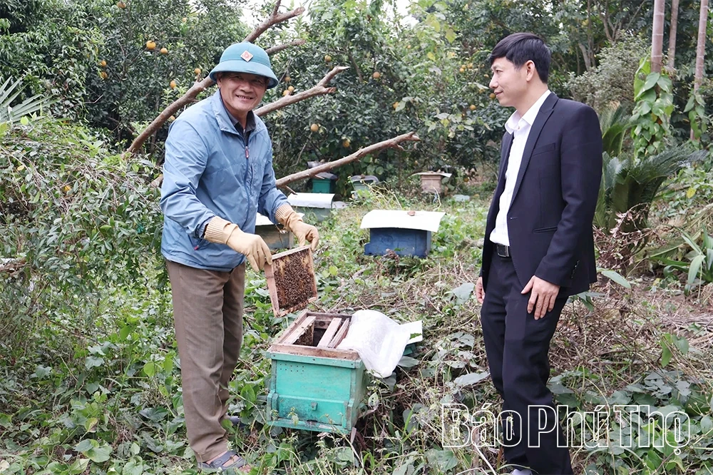 Mùa con ong đi lấy mật