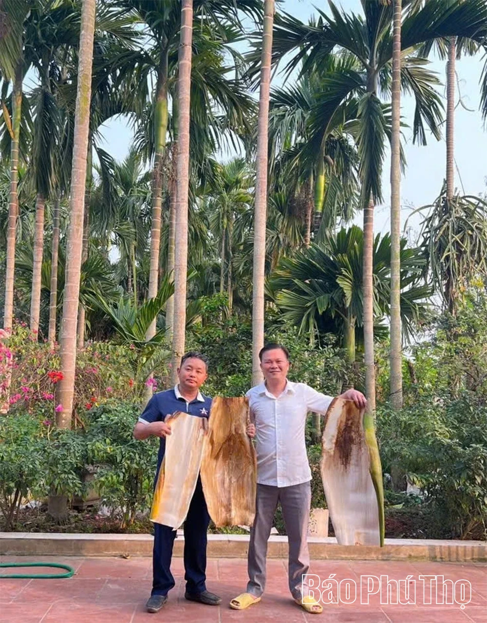 Hướng đi xanh cho sản phẩm sinh học