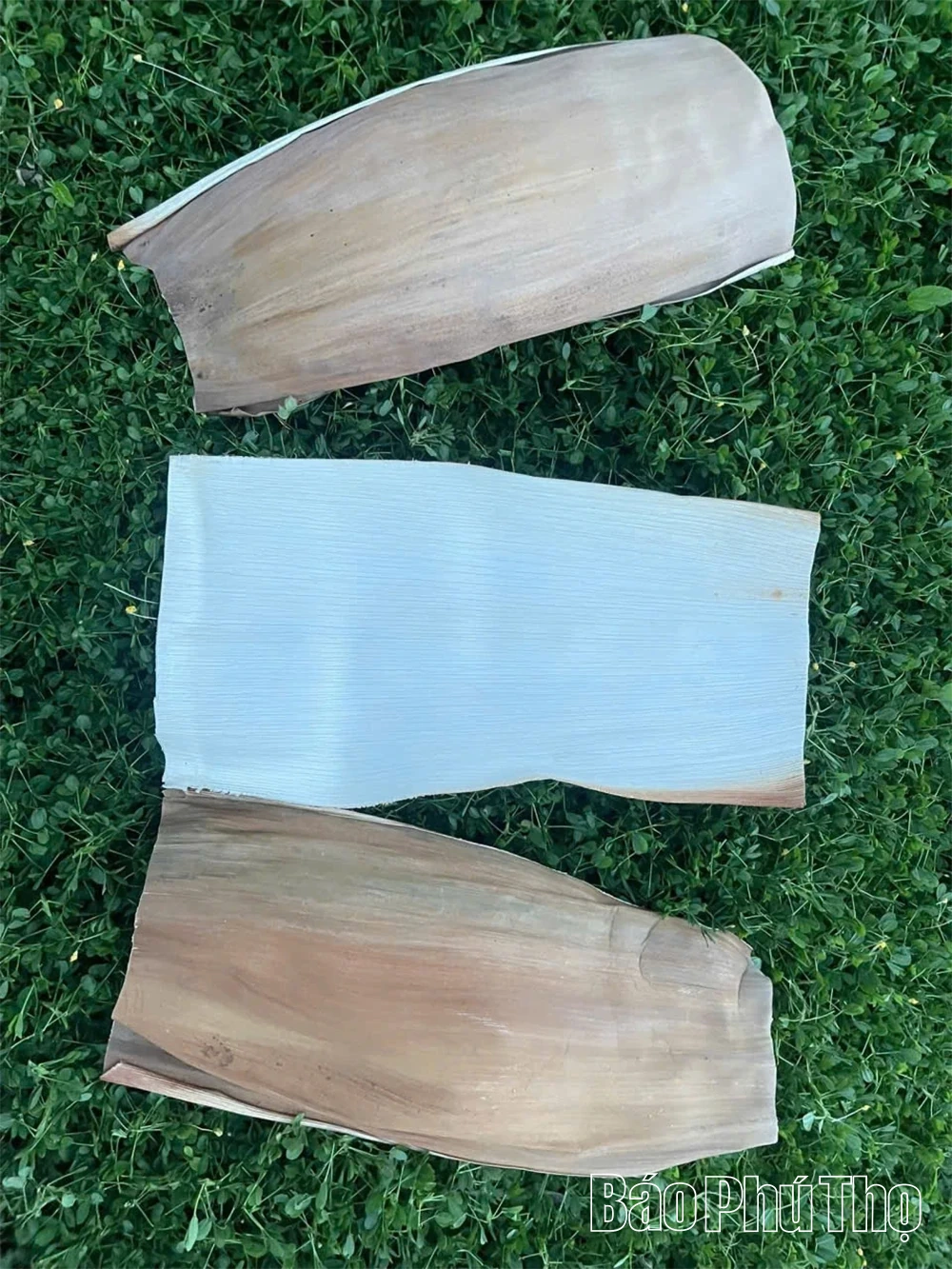 Hướng đi xanh cho sản phẩm sinh học