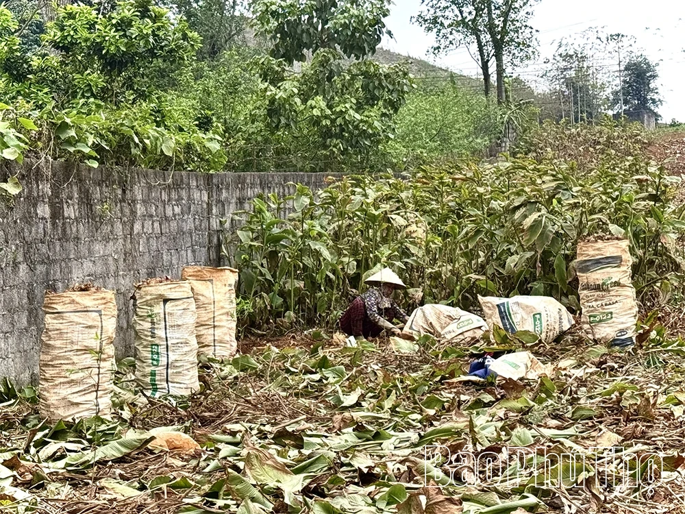 “Lực cản” giảm nghèo ở xã Cao Sơn