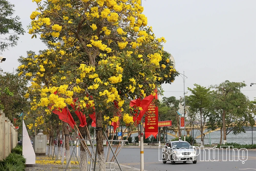 Sắc hoa tháng Ba