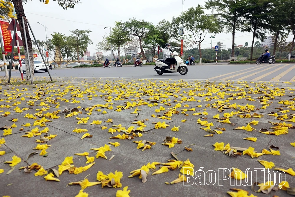 Sắc hoa tháng Ba