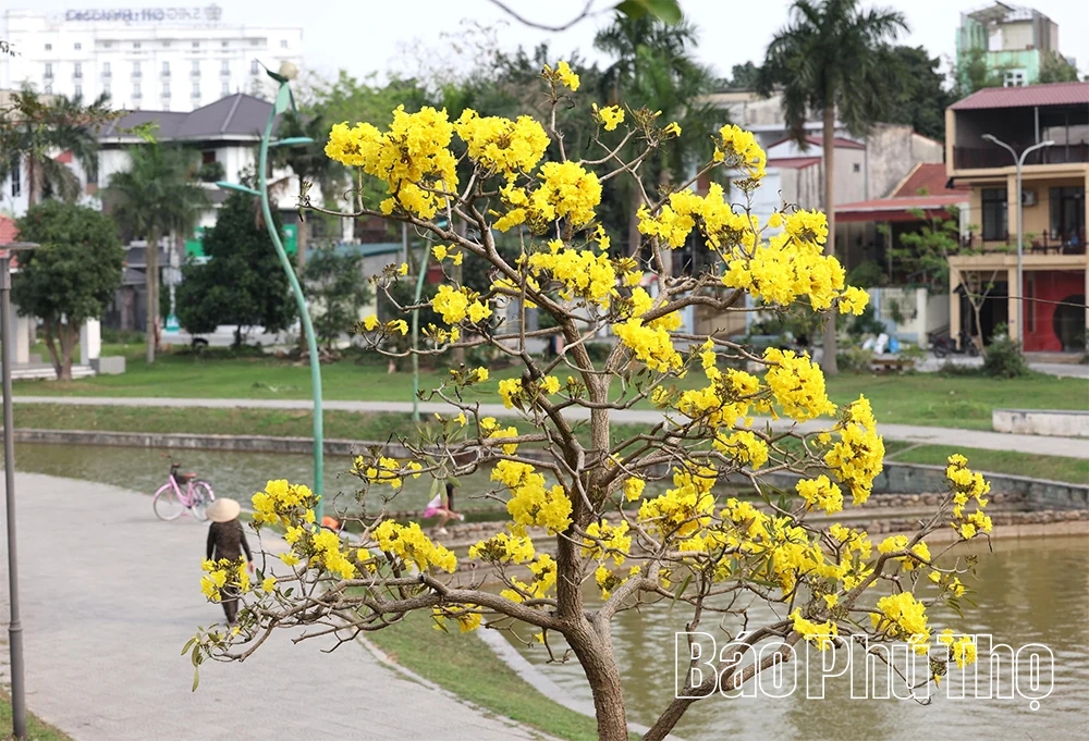 Sắc hoa tháng Ba