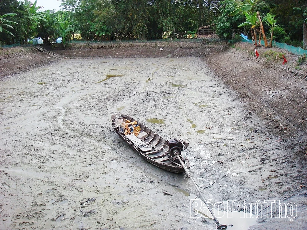 Để vụ nuôi thủy sản mới bội thu