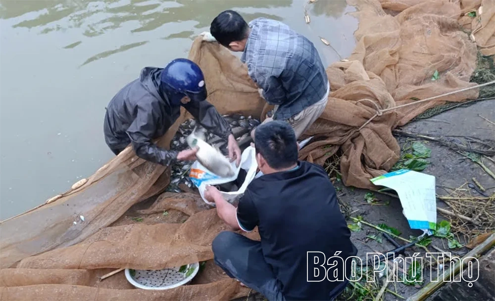 Để vụ nuôi thủy sản mới bội thu