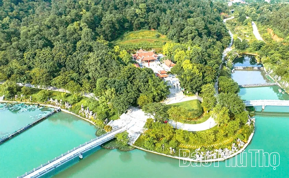 Như cây một cội, như con một nhà