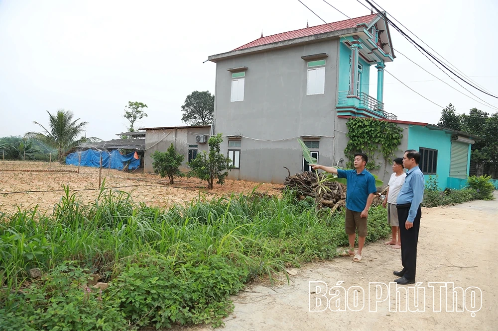 Đổi mới sản xuất nông nghiệp ở xã Đại Đình