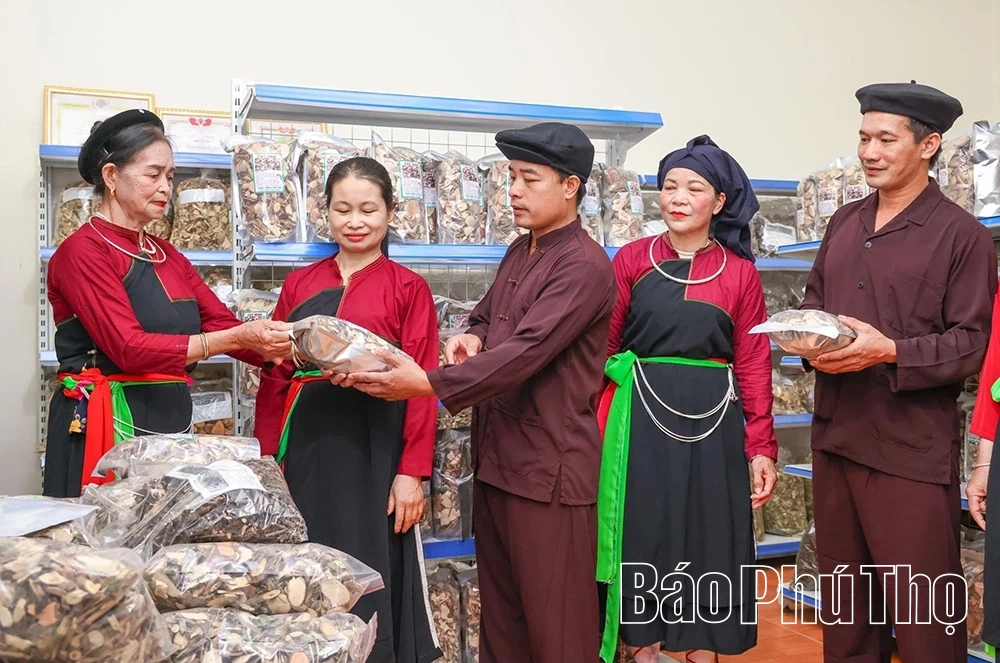 Yên Lãng - xã mới, động lực mới