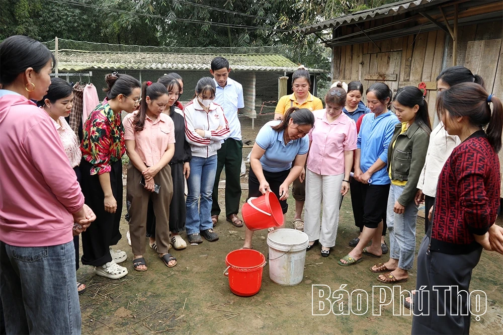 Nâng cao năng lực cho các nhóm sinh kế vùng đặc biệt khó khăn