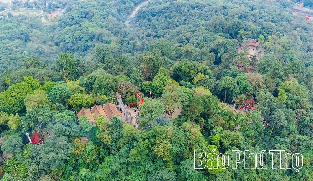 Chuyện giữ “báu vật xanh” đất cội nguồn