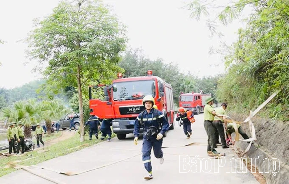 Chuyện giữ “báu vật xanh” đất cội nguồn