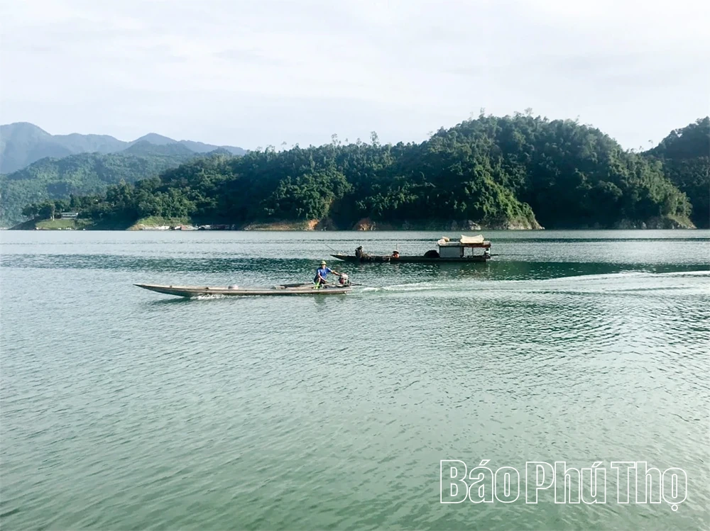 Săn “cá thủy tinh” giữa dòng Đà giang