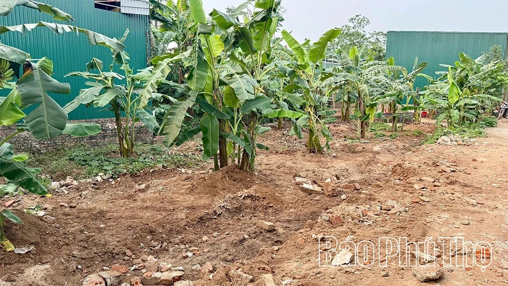 Xã Vĩnh Phú: Hỗ trợ các hộ dân tháo dỡ công trình vi phạm, kiên quyết xử lý, không để phát sinh mới