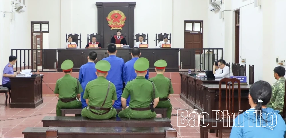 Vận chuyển hơn 70kg ma túy, 3 bị cáo cùng lĩnh án tù chung thân
