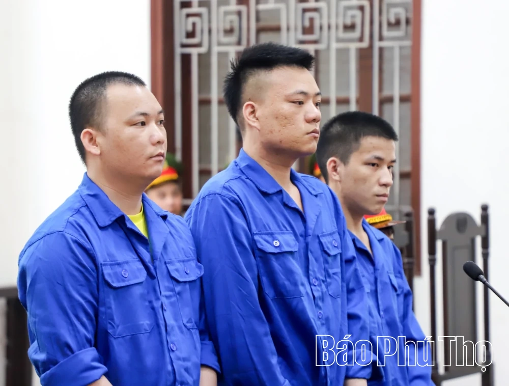 Vận chuyển hơn 70kg ma túy, 3 bị cáo cùng lĩnh án tù chung thân