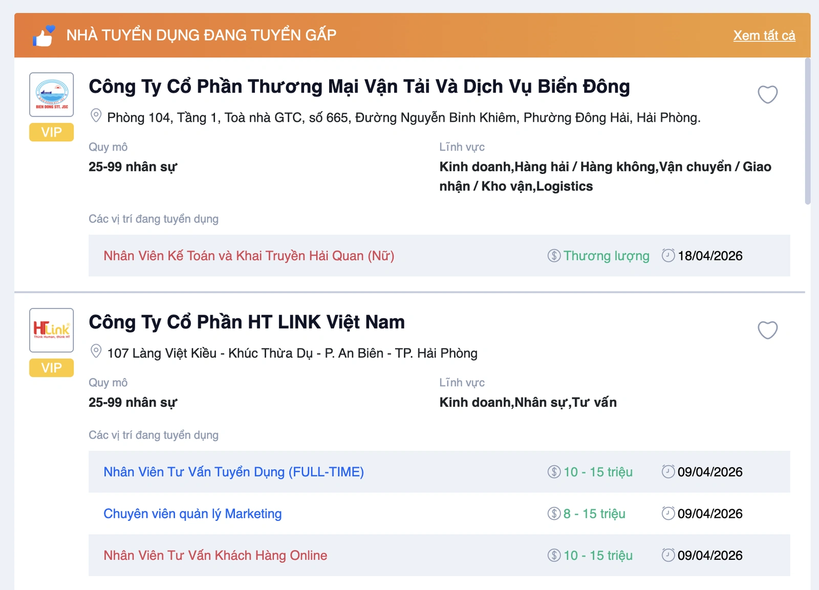 Vieclamhaiphong.edu.vn nền tảng tuyển dụng Hải Phòng được doanh nghiệp tin dùng