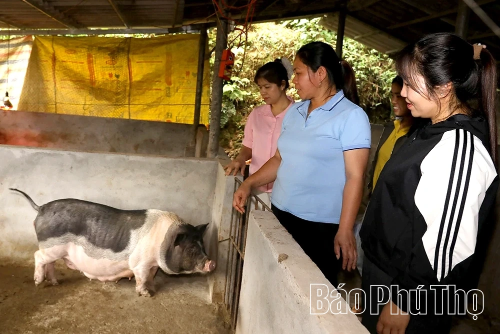 Cải thiện chất lượng cuộc sống ở Thượng Cốc