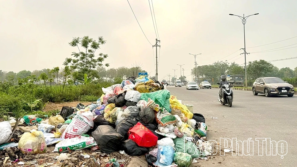 Bất chấp biển cấm, rác vẫn tràn lan tại Km11, đường tỉnh 310