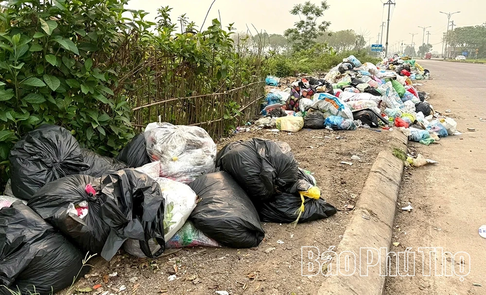 Bất chấp biển cấm, rác vẫn tràn lan tại Km11, đường tỉnh 310