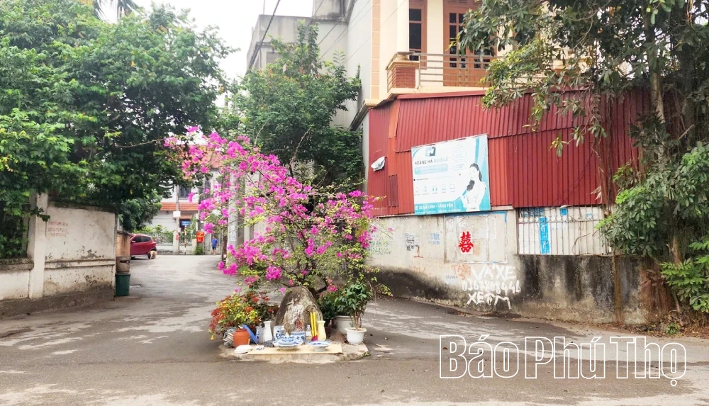 Li kỳ những vật thiêng trên đất Vĩnh Yên