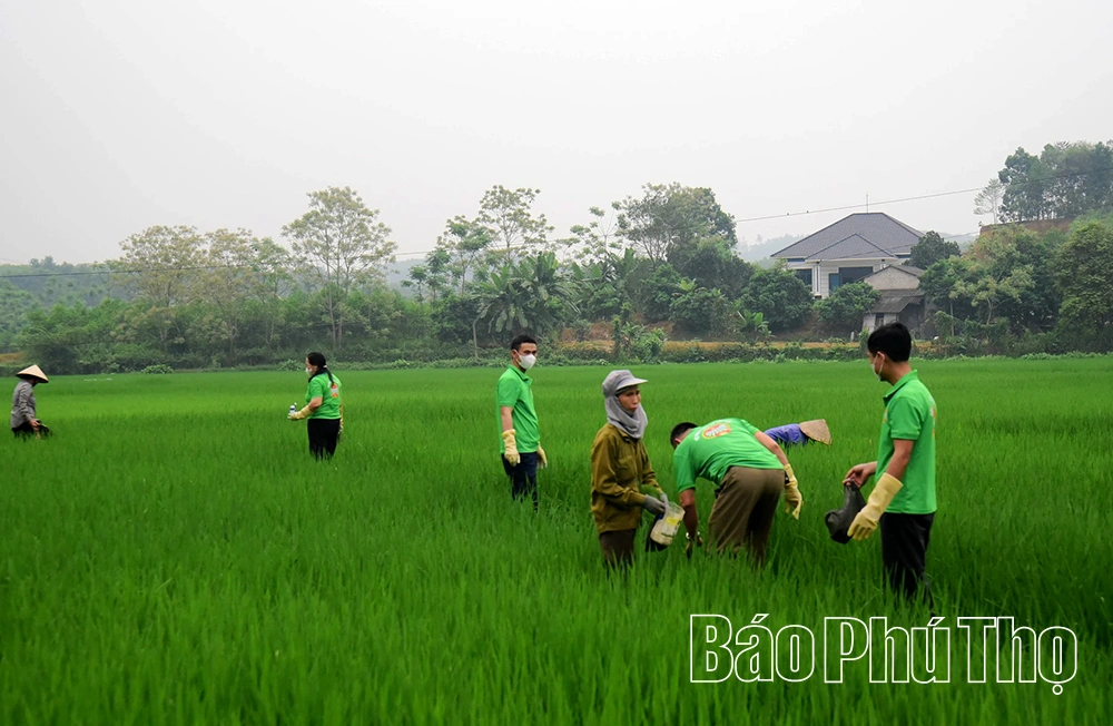 Tây Cốc nỗ lực tạo đột phá trong phát triển kinh tế - xã hội