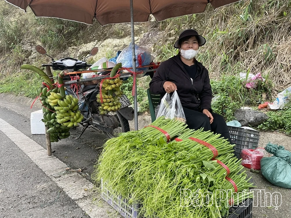 Tam Đảo mùa rau su su