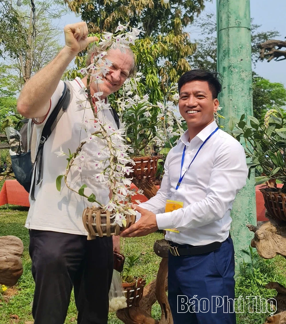 Sẵn sàng cho triển lãm hoa lan nghệ thuật toàn quốc lần thứ III tại Đền Hùng