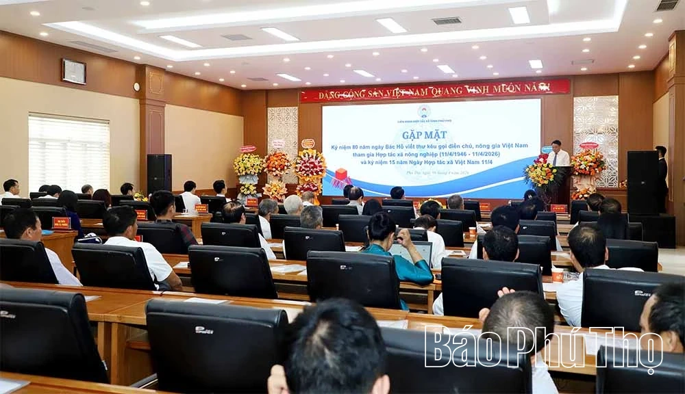 Khẳng định vai trò của kinh tế tập thể