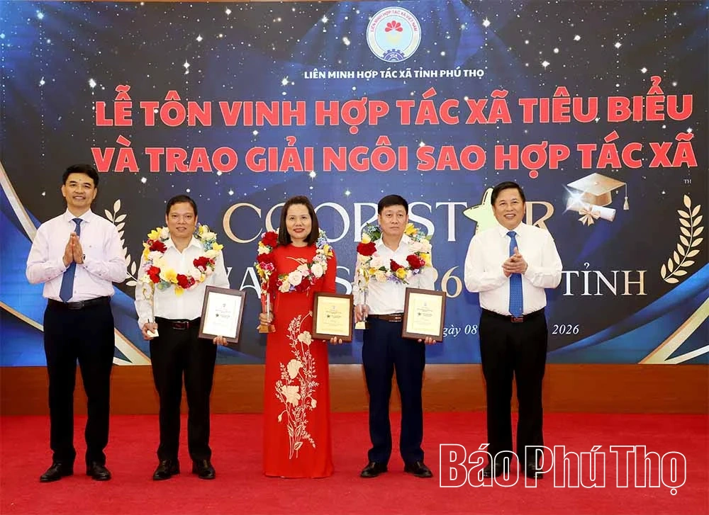 Khẳng định vai trò của kinh tế tập thể