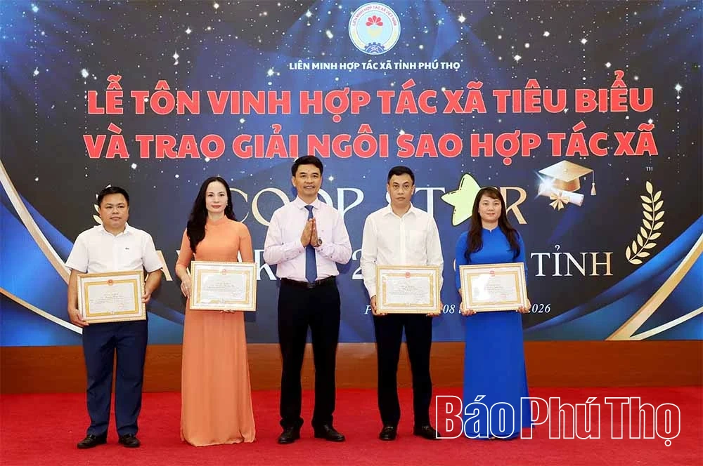 Khẳng định vai trò của kinh tế tập thể