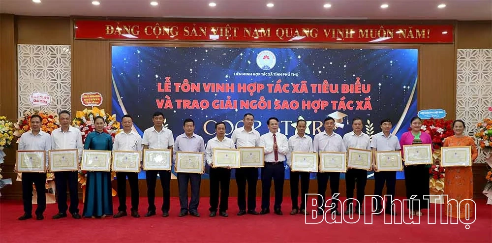 Khẳng định vai trò của kinh tế tập thể