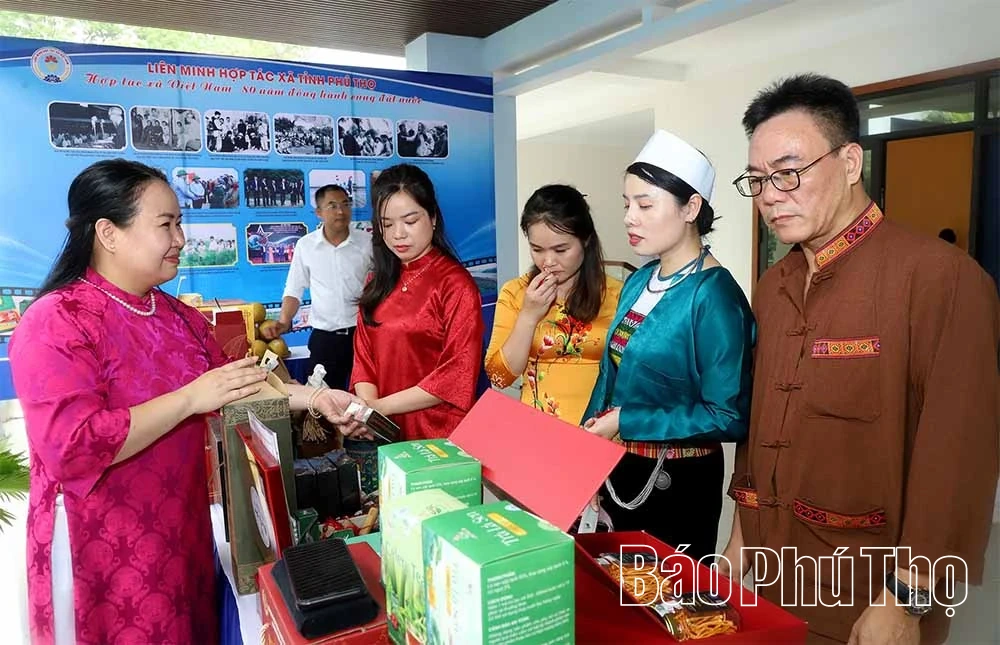 Khẳng định vai trò của kinh tế tập thể