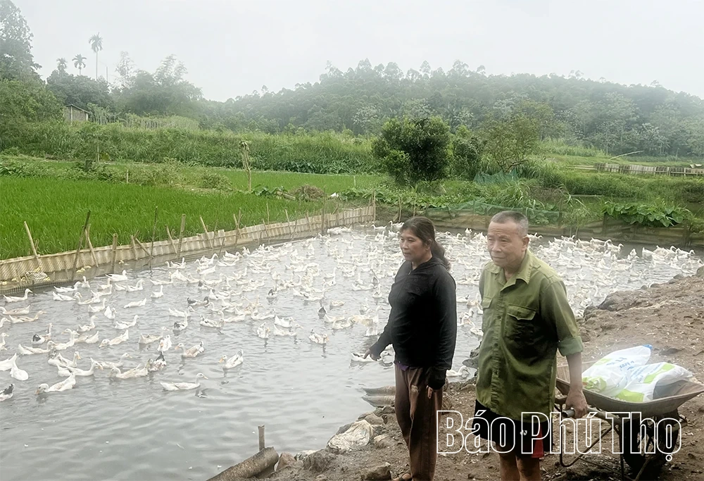Trụ cột của tín dụng “Tam nông”