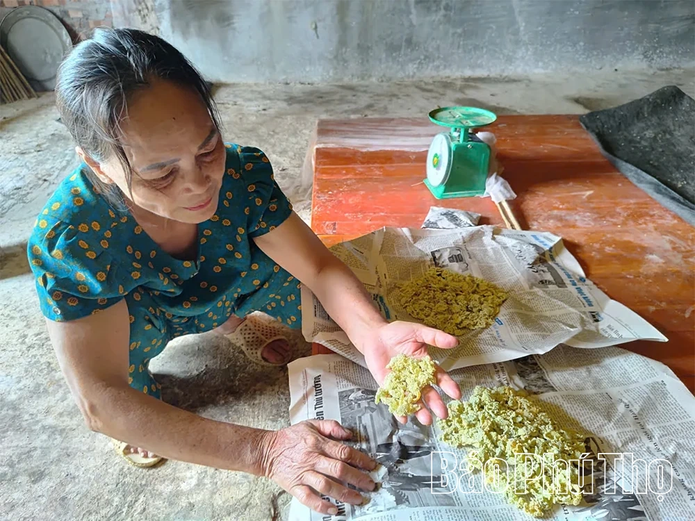 Phát triển kinh tế từ mô hình nuôi tằm