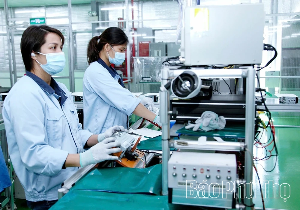 Gian nan tìm việc đúng nghề