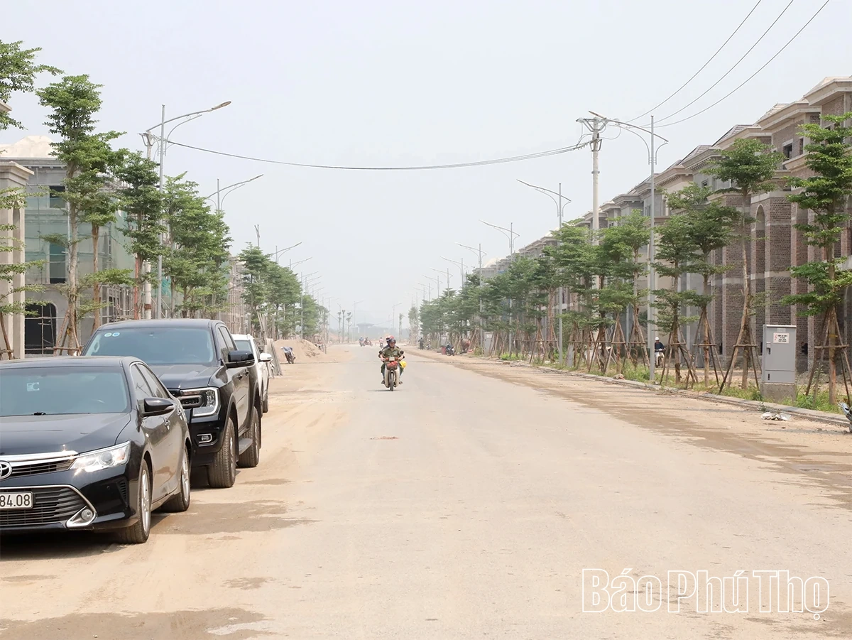 Chủ tịch UBND tỉnh Trần Duy Đông kiểm tra thực địa, chỉ đạo tháo gỡ khó khăn, thúc đẩy tiến độ các dự án trọng điểm tại khu vực Hòa Bình