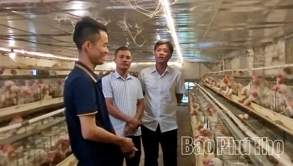 Sử dụng điện hiệu quả trong chăn nuôi