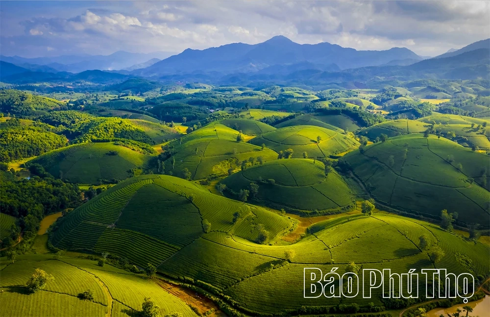 Tăng trưởng xanh - nền tảng phát triển bền vững