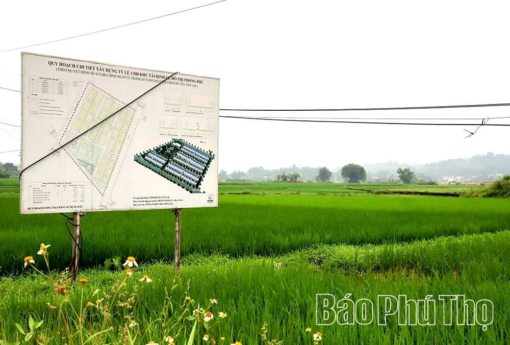 Nâng cao hiệu quả sử dụng đất - Từ yêu cầu cấp thiết đến giải pháp đồng bộ