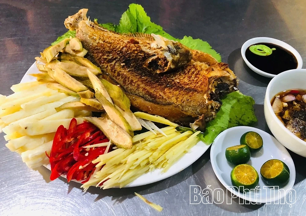 Đặc sản cá vền sông Lô “đắt sắt ra miếng” vẫn không đủ hàng để bán