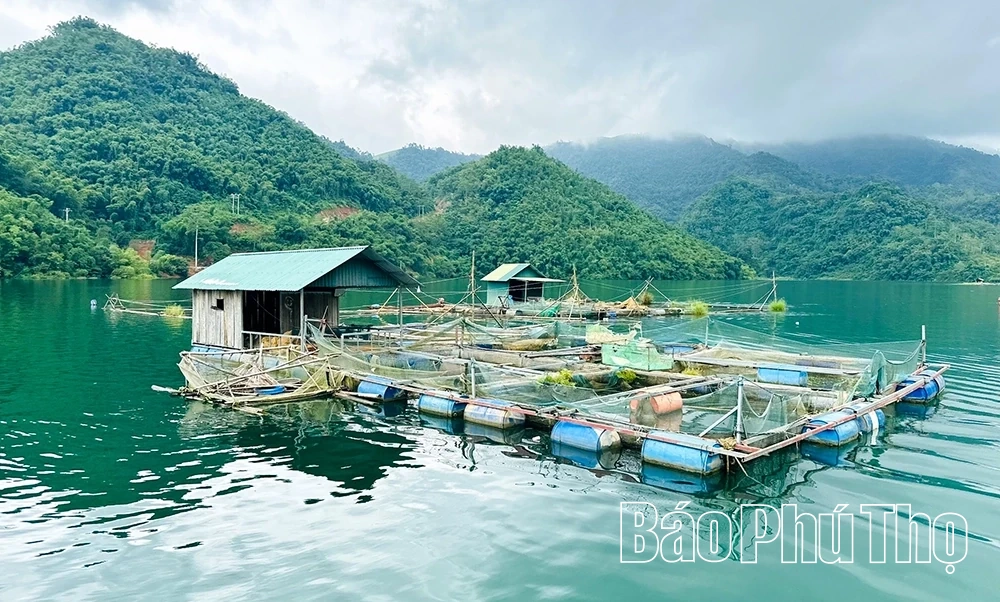 “Làng cá nổi” đổi thay đời sống người dân Đà Bắc