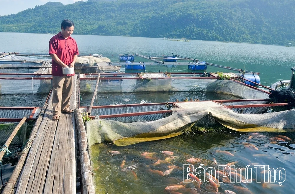 “Làng cá nổi” đổi thay đời sống người dân Đà Bắc