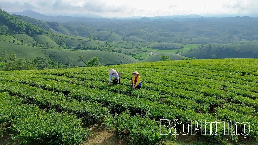 “Kiềng ba chân” tăng trưởng kinh tế du lịch