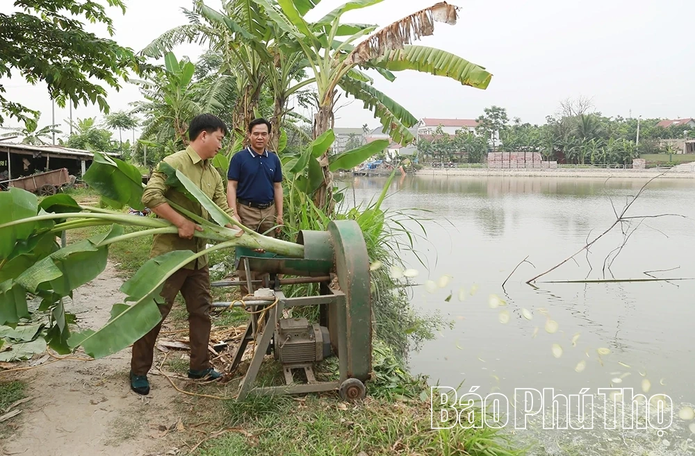 Liên Châu phát huy hiệu quả mô hình kinh tế hộ gia đình