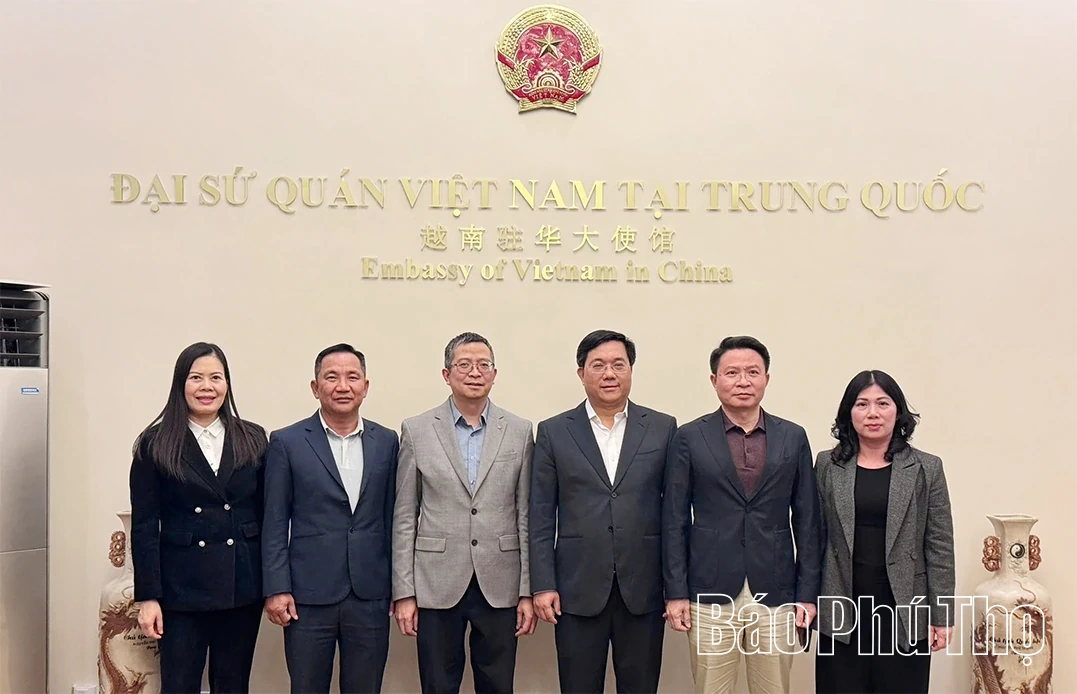Đoàn đại biểu tỉnh Phú Thọ thăm và làm việc với Đại sứ quán Việt Nam tại Trung Quốc