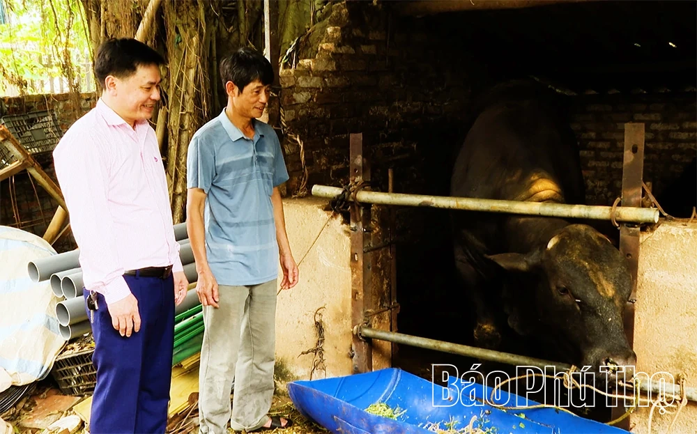 Vốn chính sách - điểm tựa sinh kế cho người dân