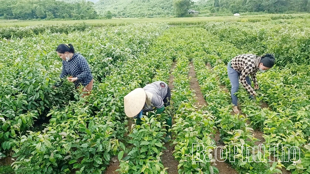 Khi nghị quyết “bén rễ” từ cơ sở