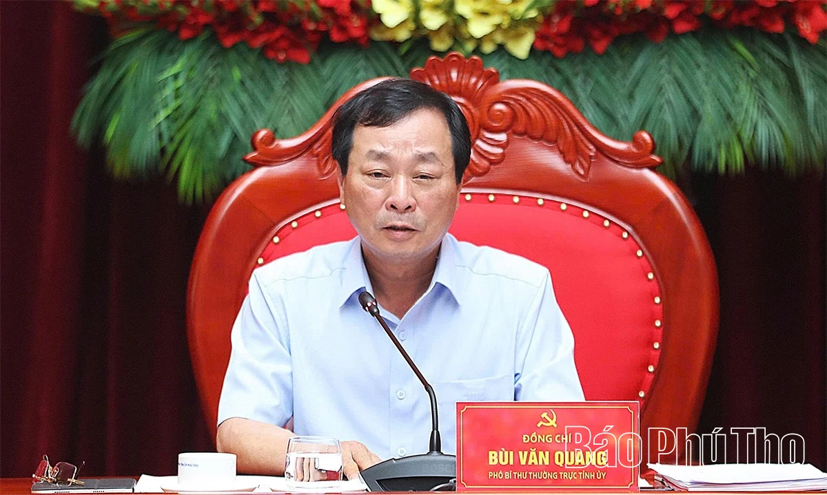 Ban Thường vụ Tỉnh ủy cho ý kiến tổ chức Đại hội các Hội quần chúng do Đảng và Nhà nước giao nhiệm vụ