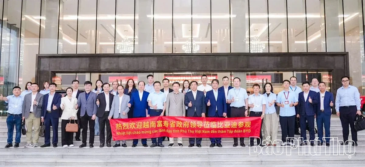 Đoàn đại biểu tỉnh Phú Thọ làm việc với Tập đoàn BYD về hợp tác trong lĩnh vực xe điện và năng lượng mới