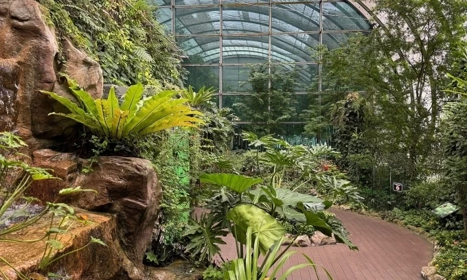 Giải mã cỗ máy đưa Changi thành sân bay tốt nhất thế giới